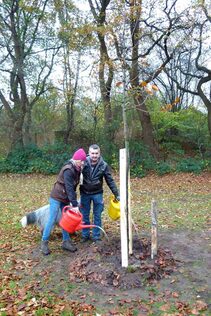 Angießen bei der Pflanzaktion im Herbst 2015 (Bild: Stadt)