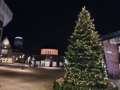 Die gespendeten Bäume schmücken in der Weihnachtszeit stets den Rathausplatz. | Bild: Winsemann