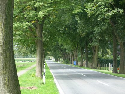 Landstraße samt Radweg am Holzkamper Damm